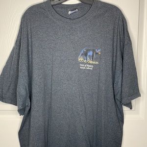 Trees of Mystery Men’s Hanes Gray T-Shirt